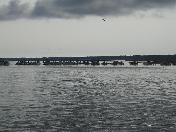 Chincoteague Pony Swim July 2007 025.JPG